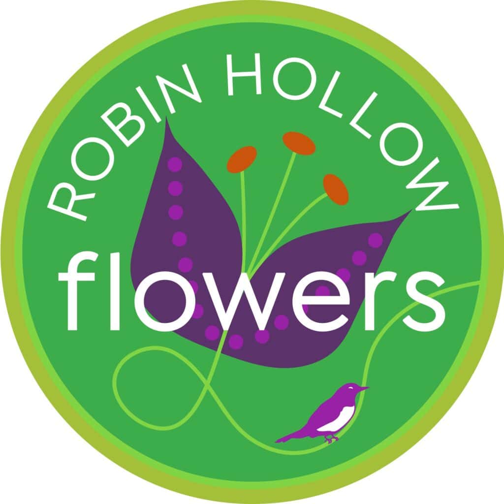 robin hollow logo